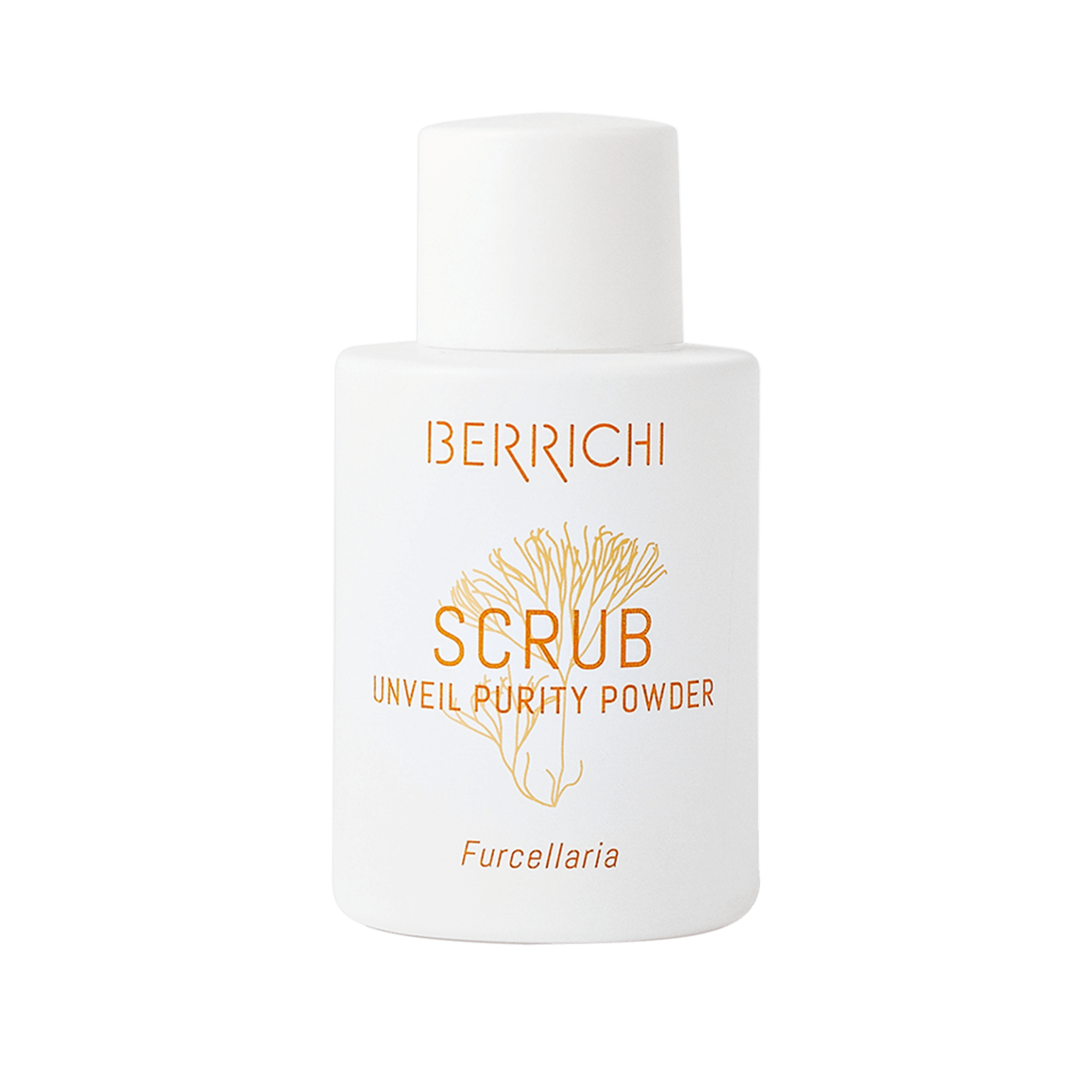 Reveal Purity Powder Scrub Berrichi